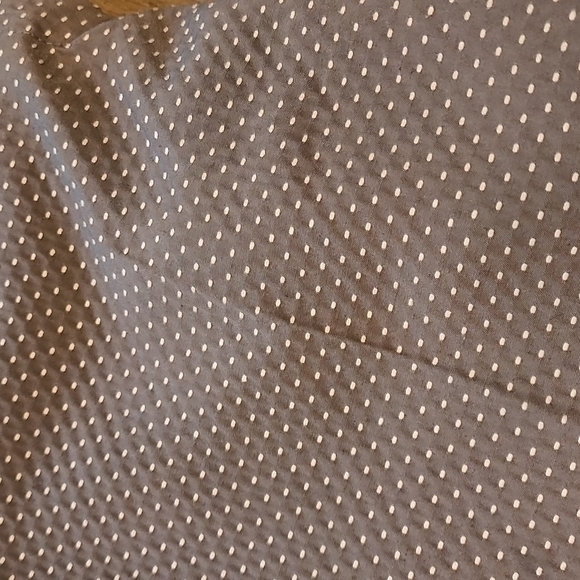 The Limited Olive Green Pants with Polka Dots Size 2 - Picture 6 of 7